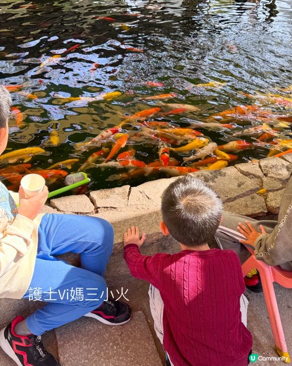 免費入場古色古香＋親子活動｜甘坑古鎮新年遊玩攻略