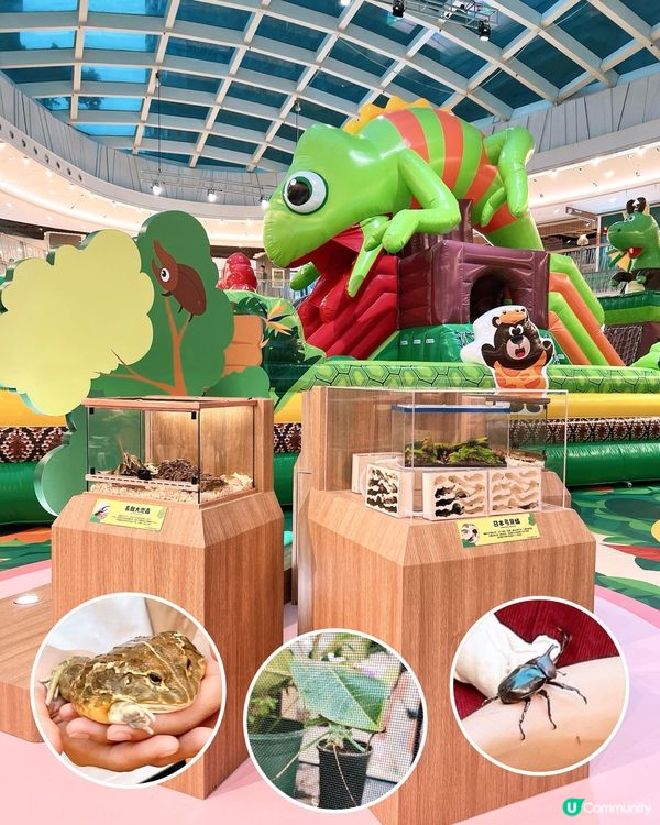 MCP新都城中心 x Jumptopia🐞🦎巨大化蟲林世界