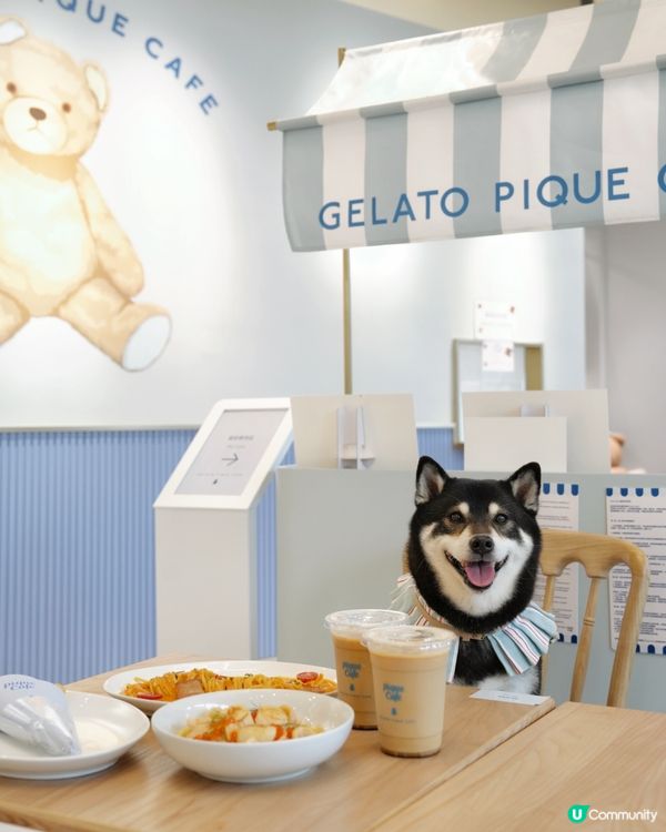 🐻Cafe日本過江龍登陸Airside😍