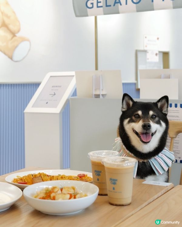 🐻Cafe日本過江龍登陸Airside😍