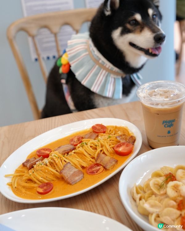 🐻Cafe日本過江龍登陸Airside😍