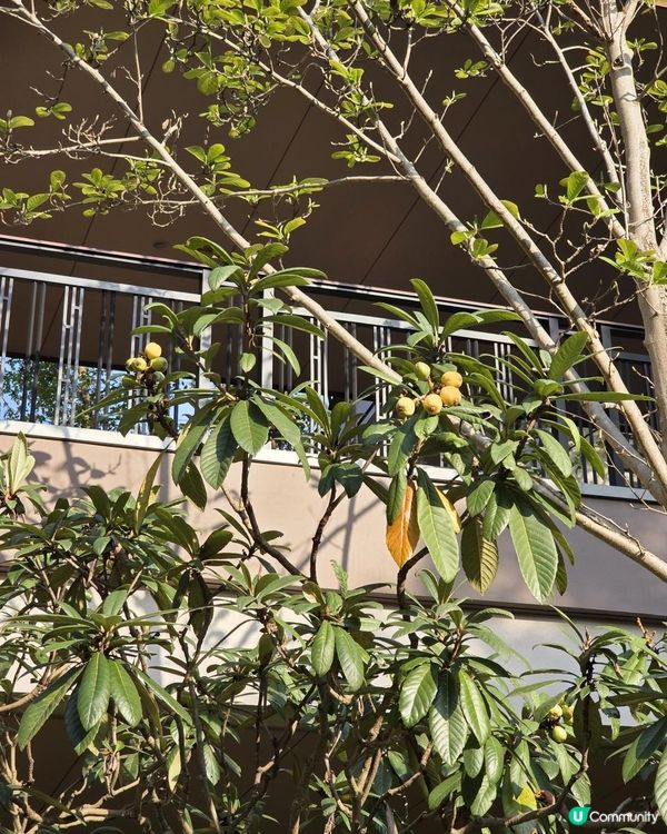 長假期好去處 X 深耕假期 X 溫泉酒店(DAY 1) @ 清遠新世界酒店 ( 清遠 )