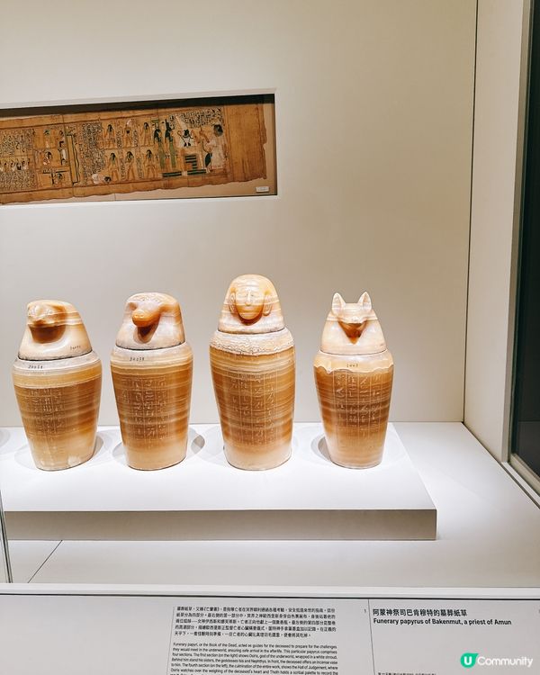 埃及瑰寶襲港！5000年歷史等你睇！✨👑