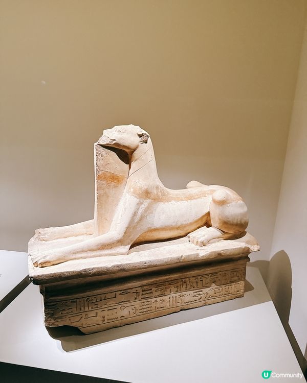 埃及瑰寶襲港！5000年歷史等你睇！✨👑