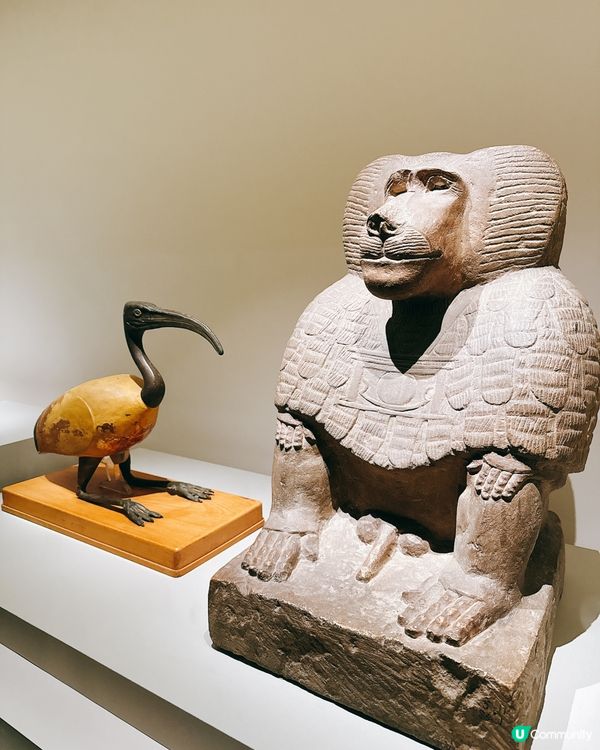 埃及瑰寶襲港！5000年歷史等你睇！✨👑