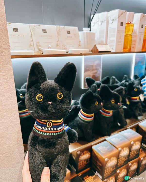 埃及瑰寶襲港！5000年歷史等你睇！✨👑