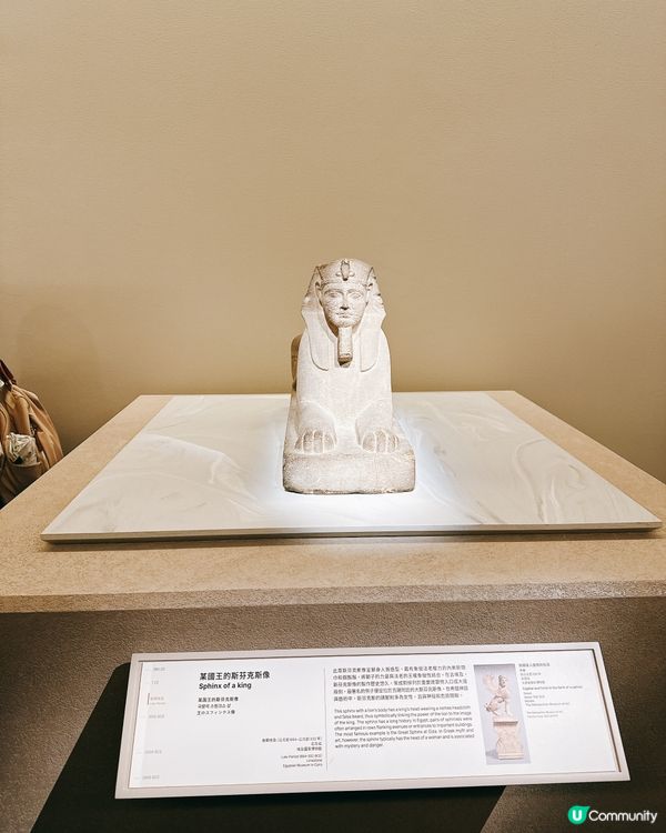 埃及瑰寶襲港！5000年歷史等你睇！✨👑