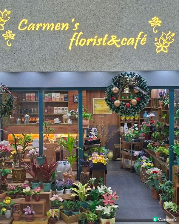 【生態】暢遊花海🪻 走入微型嘅世界🔎