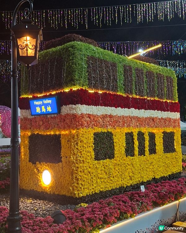 【生態】暢遊花海🪻 走入微型嘅世界🔎