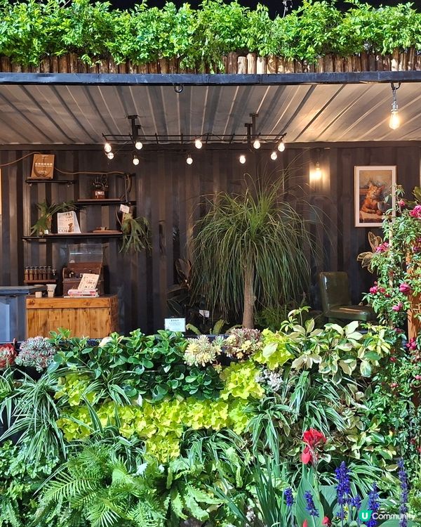 【生態】暢遊花海🪻 走入微型嘅世界🔎