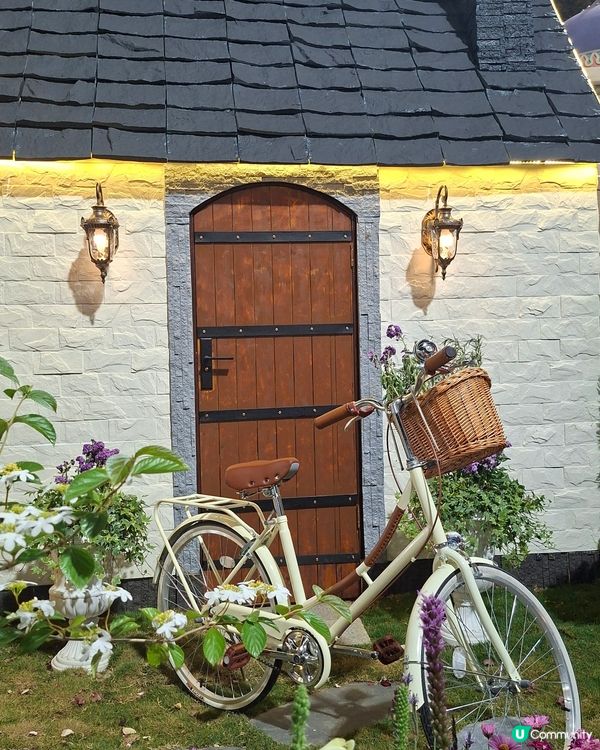 【生態】暢遊花海🪻 走入微型嘅世界🔎