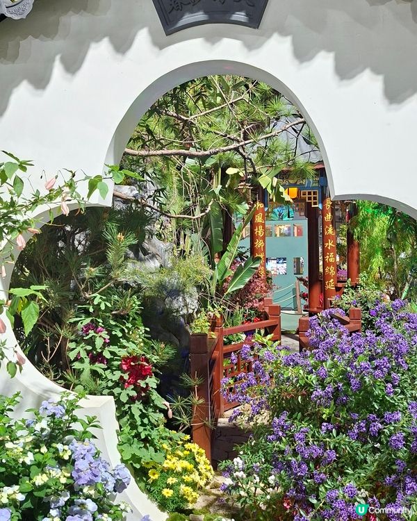 【生態】暢遊花海🪻 走入微型嘅世界🔎