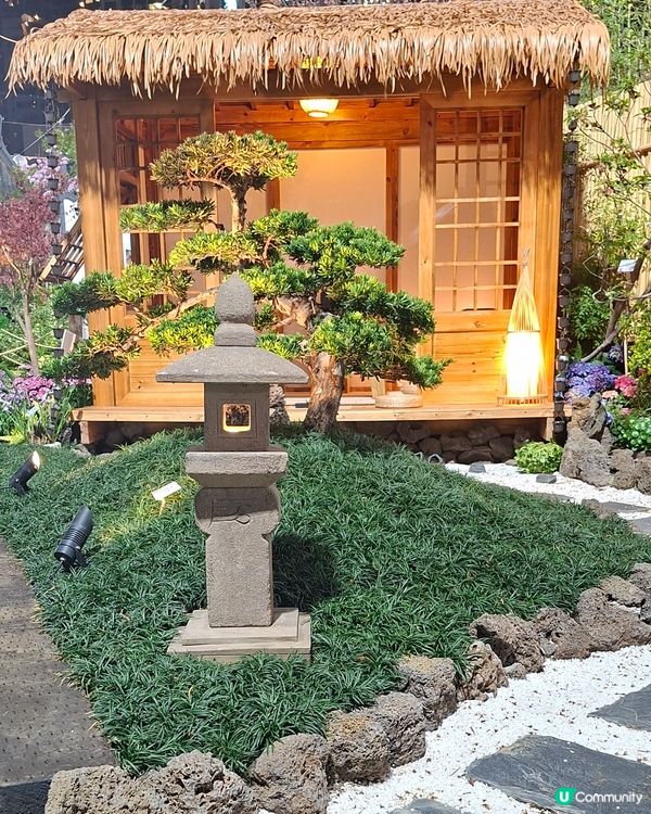 【生態】暢遊花海🪻 走入微型嘅世界🔎