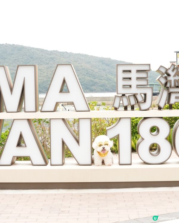 户外寵物攝影師