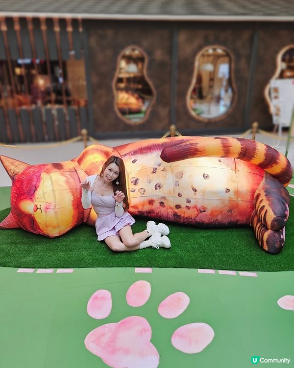 個個都知我養左3隻貓貓，我係貓痴黎架！