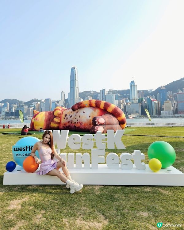 個個都知我養左3隻貓貓，我係貓痴黎架！