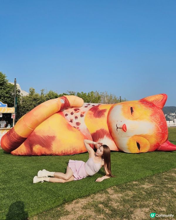 個個都知我養左3隻貓貓，我係貓痴黎架！