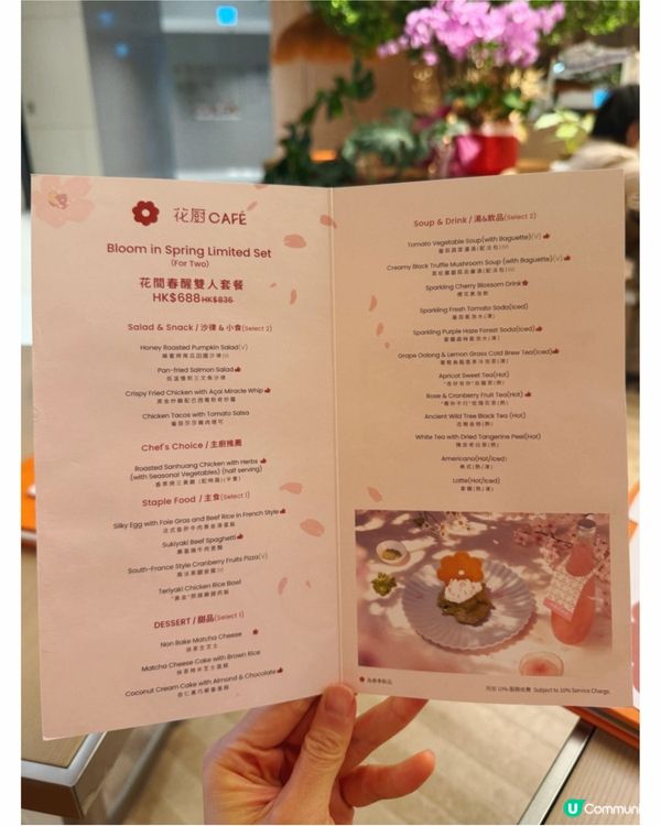 啟德新開森林花系cafe🌳🌸