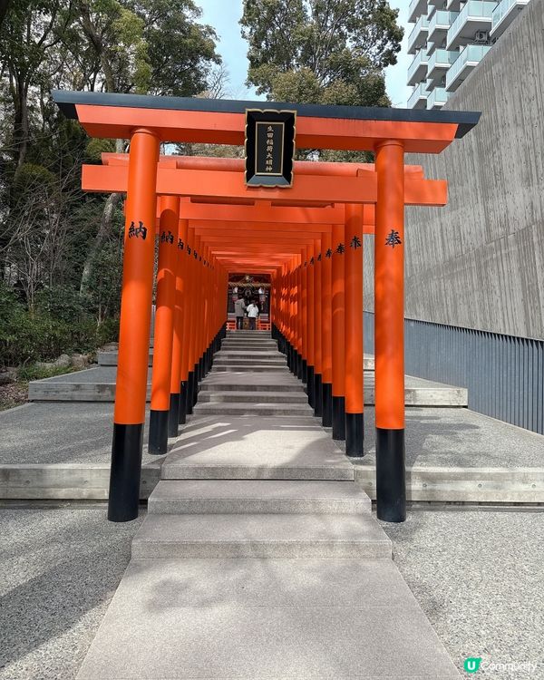 千年姻緣聖地 💖 「生田神社｣⛩️