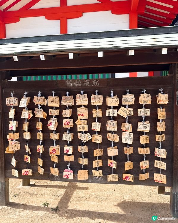 千年姻緣聖地 💖 「生田神社｣⛩️