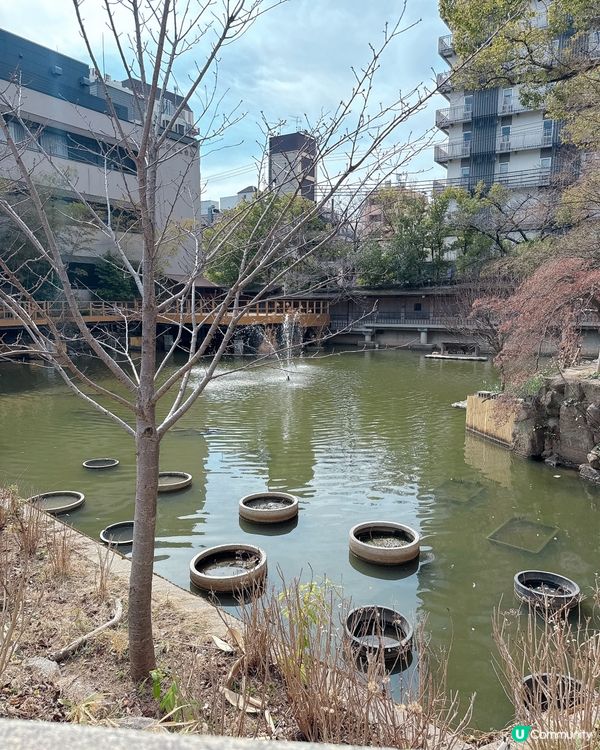 千年姻緣聖地 💖 「生田神社｣⛩️