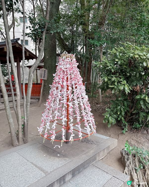 千年姻緣聖地 💖 「生田神社｣⛩️
