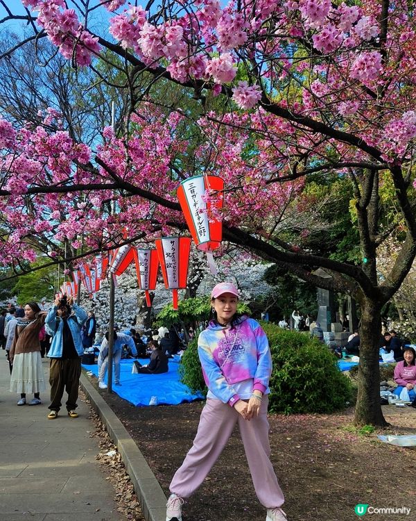🌸我愛花花之上野櫻花隧道！賞櫻🌸必去🇯🇵