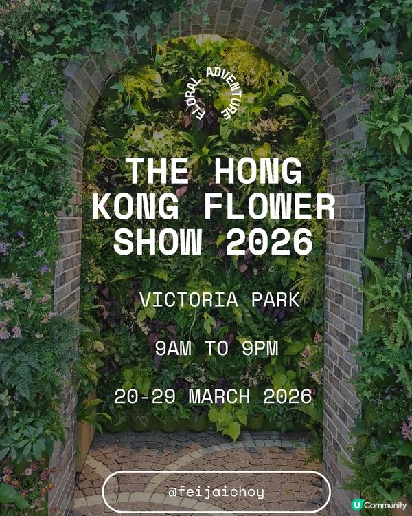 【生態】暢遊花海🪻 走入微型嘅世界🔎