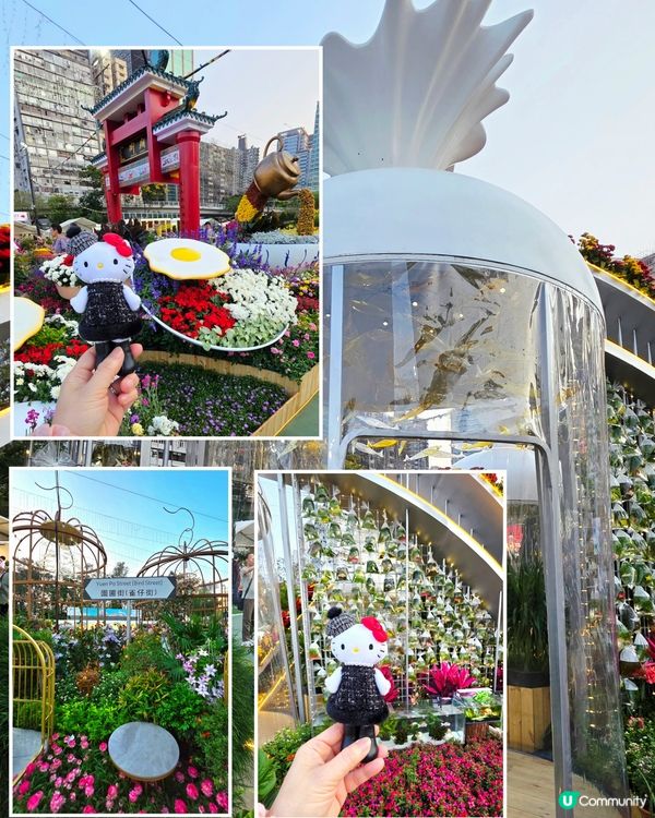 長腿kitty帶你遊🪻2026花展🌸🌷💐