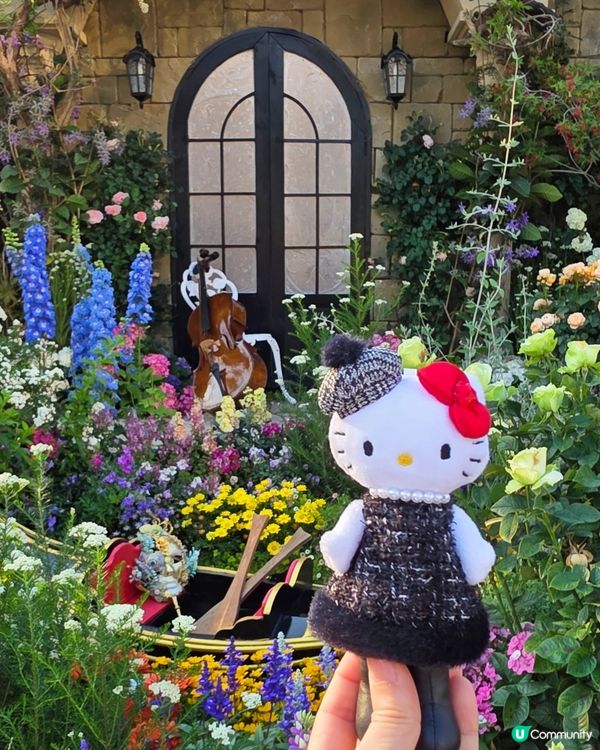 長腿kitty帶你遊🪻2026花展🌸🌷💐