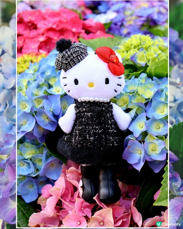 長腿kitty帶你遊🪻2026花展🌸🌷💐