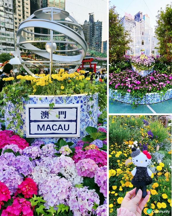 長腿kitty帶你遊🪻2026花展🌸🌷💐