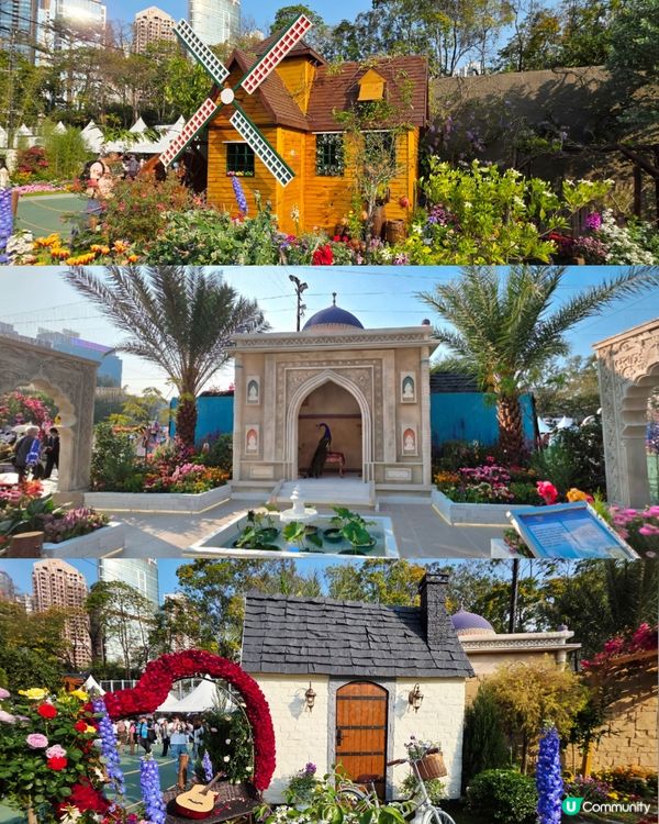 長腿kitty帶你遊🪻2026花展🌸🌷💐