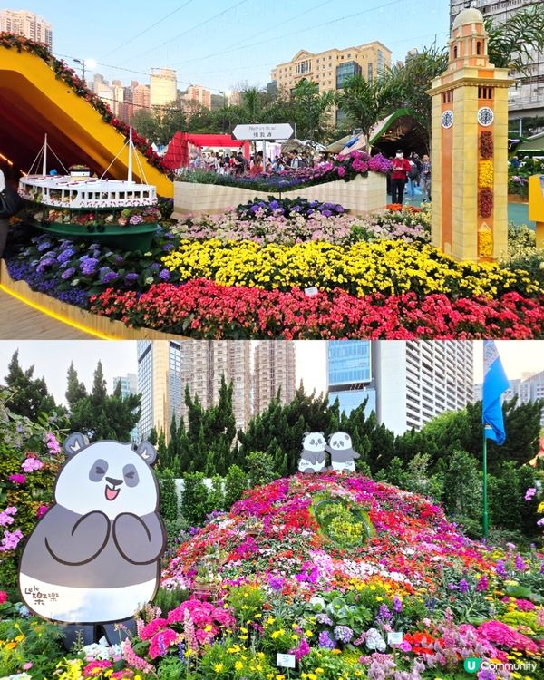 長腿kitty帶你遊🪻2026花展🌸🌷💐