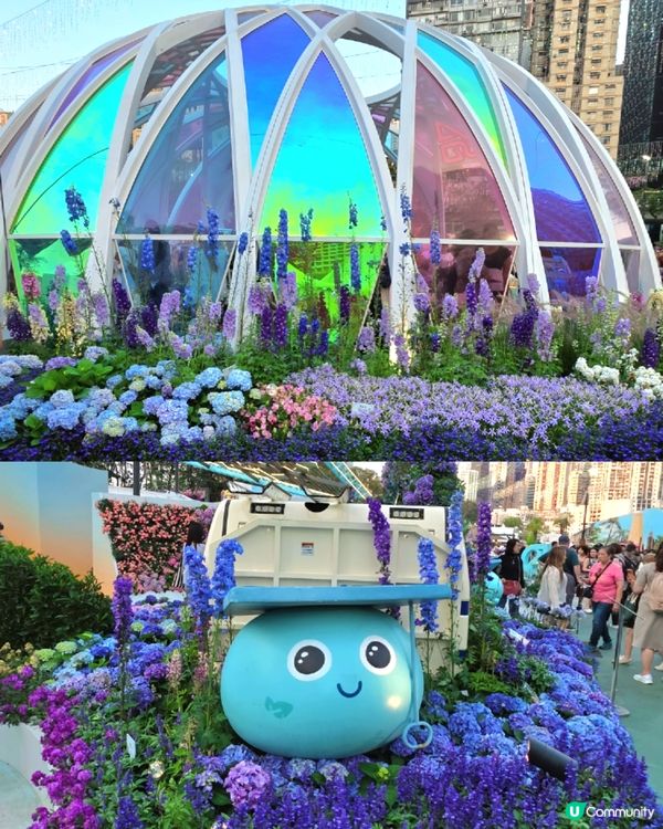 長腿kitty帶你遊🪻2026花展🌸🌷💐