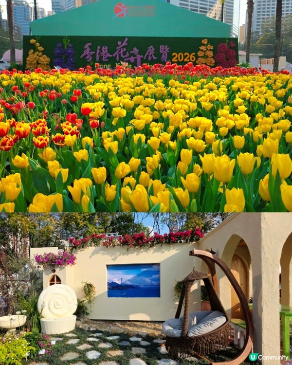 長腿kitty帶你遊🪻2026花展🌸🌷💐