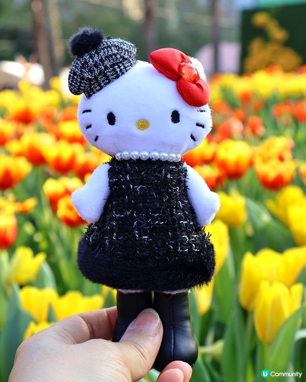 長腿kitty帶你遊🪻2026花展🌸🌷💐