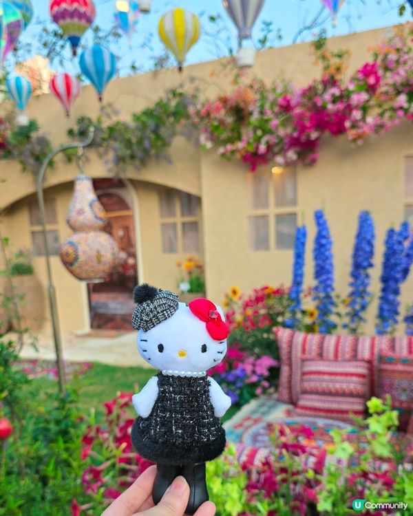 長腿kitty帶你遊🪻2026花展🌸🌷💐