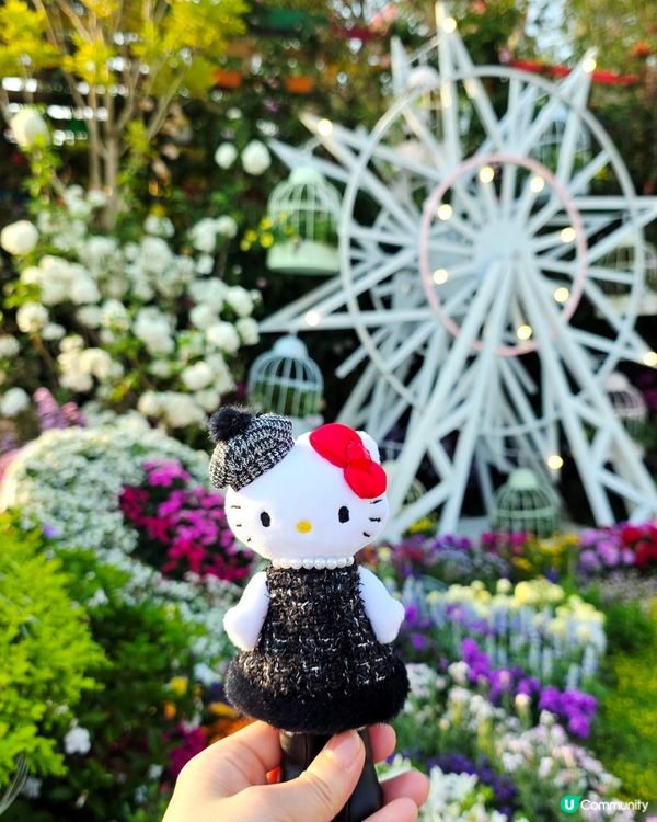 長腿kitty帶你遊🪻2026花展🌸🌷💐