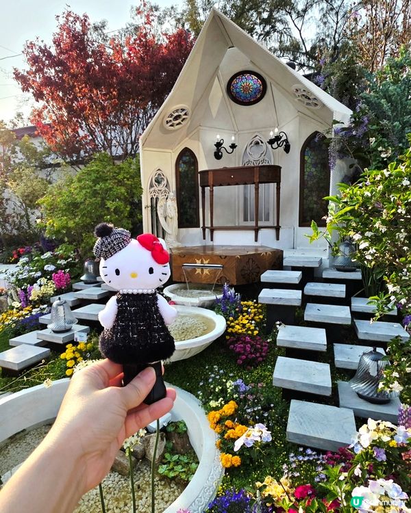 長腿kitty帶你遊🪻2026花展🌸🌷💐