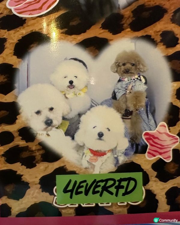 Y2K風即影即有，朗豪坊打卡！📸