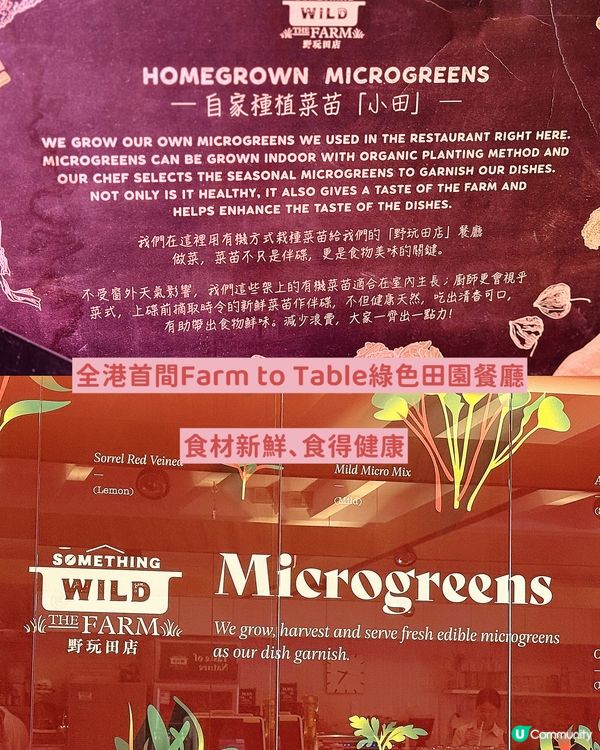 🔥尖沙咀午餐新標桿！高質半自助午餐‼️