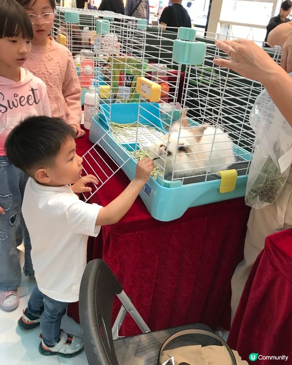 復活節玩 彈床➕親親小動物🐰🐍