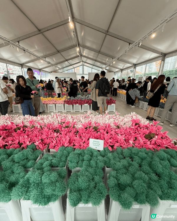 之前中環舉行嘅CJ hendry flower market...