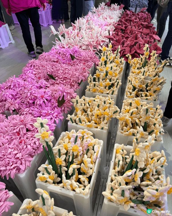 之前中環舉行嘅CJ hendry flower market...