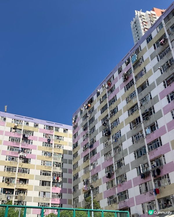 尋找南山邨的味道