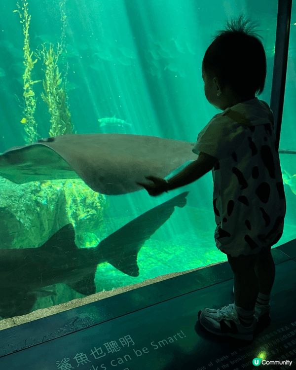 去海洋公園睇動物，仲坐左纜車，玩左好多機動遊戲