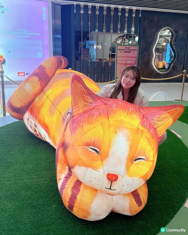 藝術節貓咪夢遊展覽✨