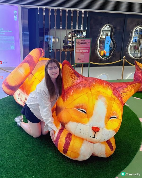 藝術節貓咪夢遊展覽✨