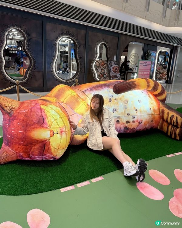 藝術節貓咪夢遊展覽✨